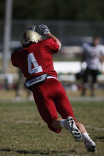 爱游戏app活动-德甲球队视频分析辅助防守站位调整的实证研究,德甲防守最好的球队