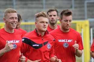 爱游戏app活动-德甲球队视频分析辅助防守站位调整的实证研究,德甲防守最好的球队